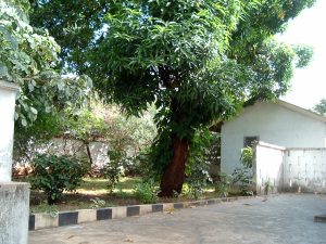 Achter ons huis in Mathuradas Street