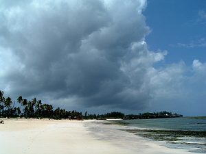 Coco Beach
