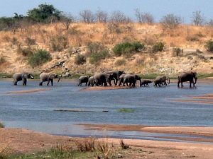 Grote Ruaha-rivier