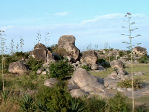 Richting Mwanza