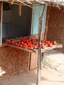 Tomaten te koop in Gezaulole